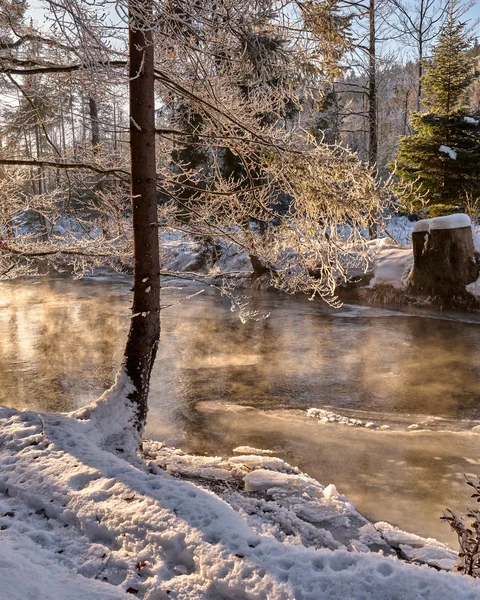 Eibl Brunner: dein Hotel in Frauenau Winterlandschaft mit schneebedecktem Fluss und dampfendem Wasser im Wald